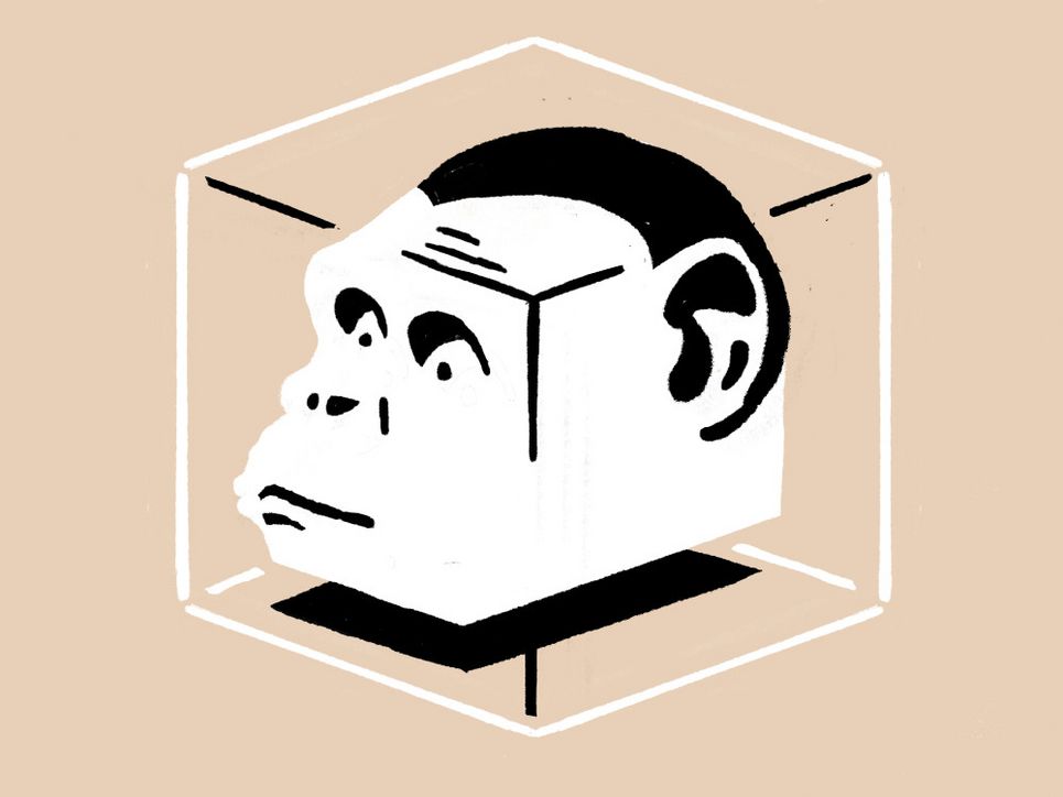 Illustration: Affenkopf in einem Quader.