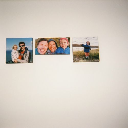 Drei Fotos von Leibniz-Forschenden hängen an einer Wand.